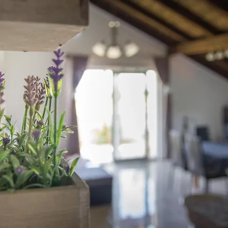 Tia - By Ta Leut Agency * 프리블라카