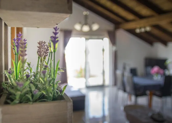 Tia - By Ta Leut Agency * 프리블라카