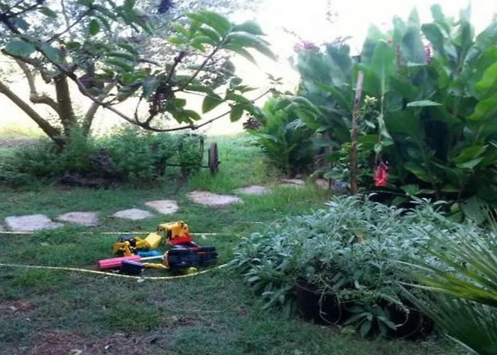 Tia - By Ta Leut Agency *